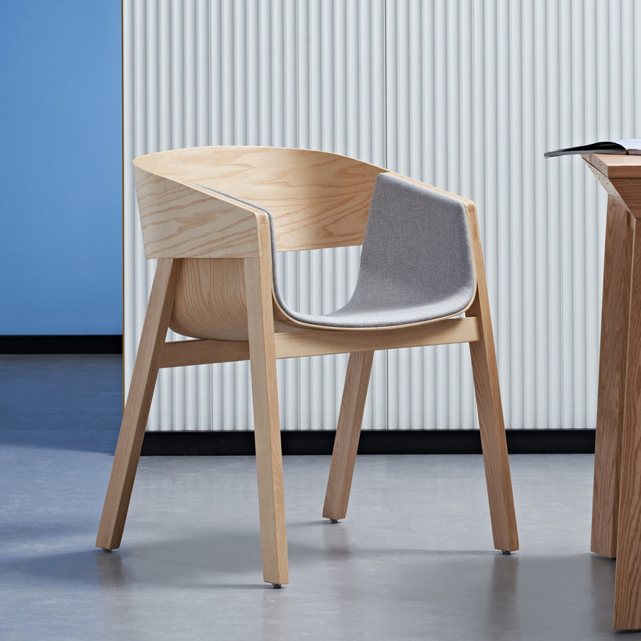 Dining Living Room Kitchen Chairs