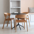 Dining Living Room Kitchen Chairs